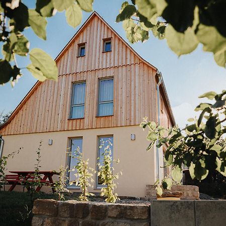 Ferienhaus Am Hoernchen Glashutte  Экстерьер фото